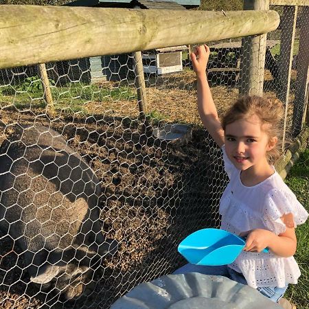 Willow Court Farm Studio South & Petting Farm, 8 Mins From Legoland & Windsor, 15 Mins From Lapland Uk Екстер'єр фото
