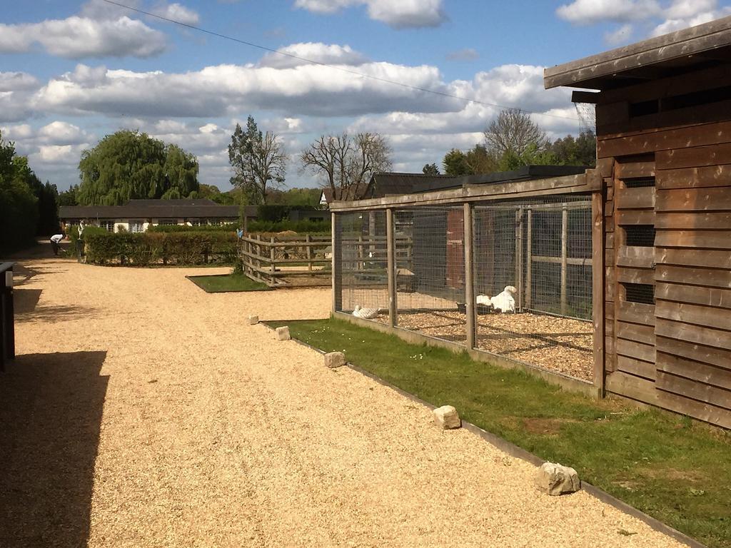 Willow Court Farm Studio South & Petting Farm, 8 Mins From Legoland & Windsor, 15 Mins From Lapland Uk Екстер'єр фото