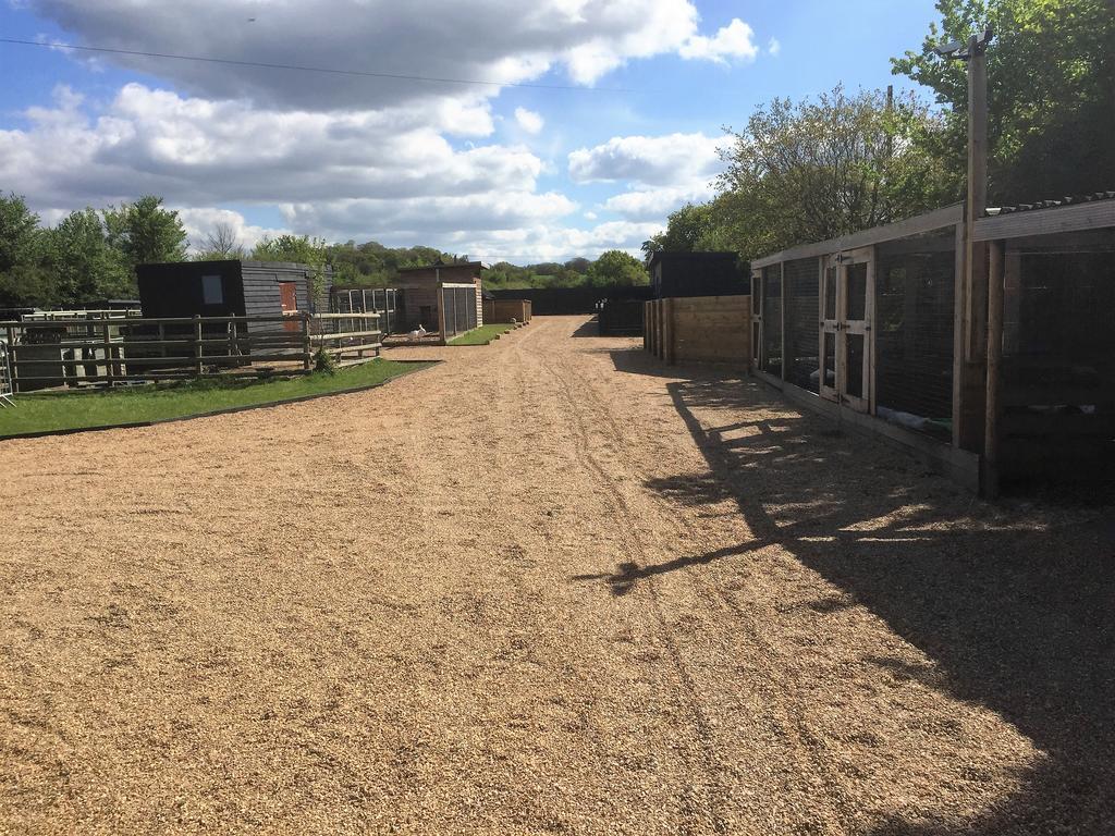 Willow Court Farm Studio South & Petting Farm, 8 Mins From Legoland & Windsor, 15 Mins From Lapland Uk Екстер'єр фото