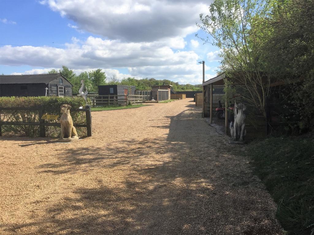 Willow Court Farm Studio South & Petting Farm, 8 Mins From Legoland & Windsor, 15 Mins From Lapland Uk Екстер'єр фото