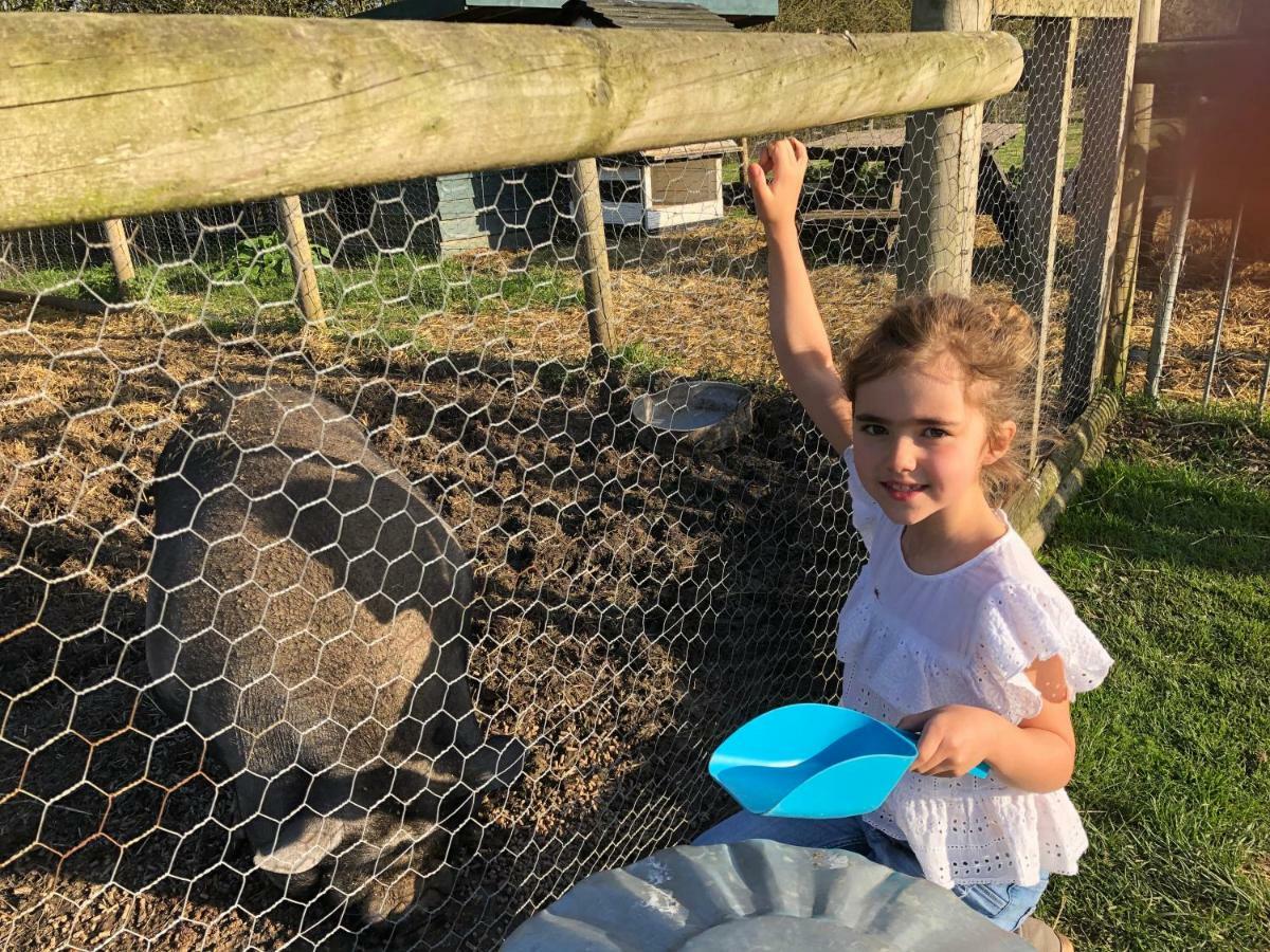 Willow Court Farm Studio South & Petting Farm, 8 Mins From Legoland & Windsor, 15 Mins From Lapland Uk Екстер'єр фото