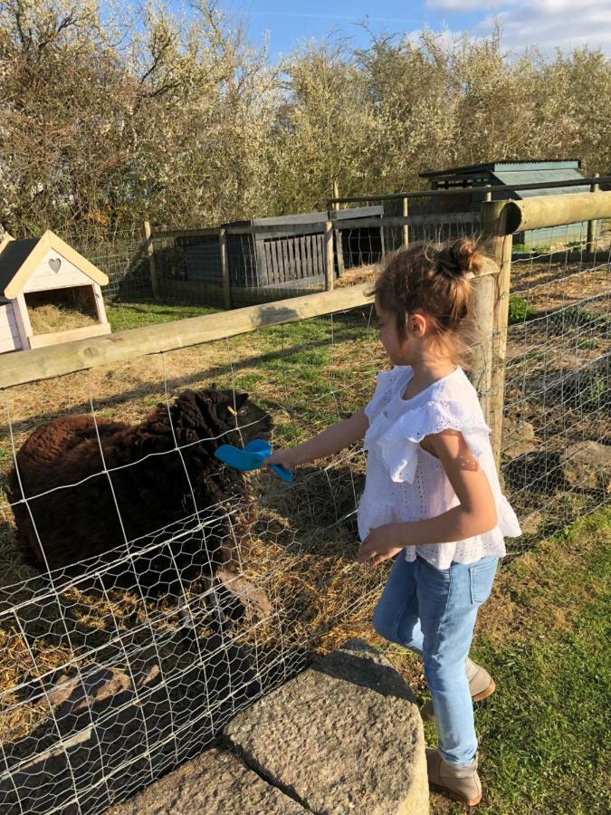 Willow Court Farm Studio South & Petting Farm, 8 Mins From Legoland & Windsor, 15 Mins From Lapland Uk Екстер'єр фото