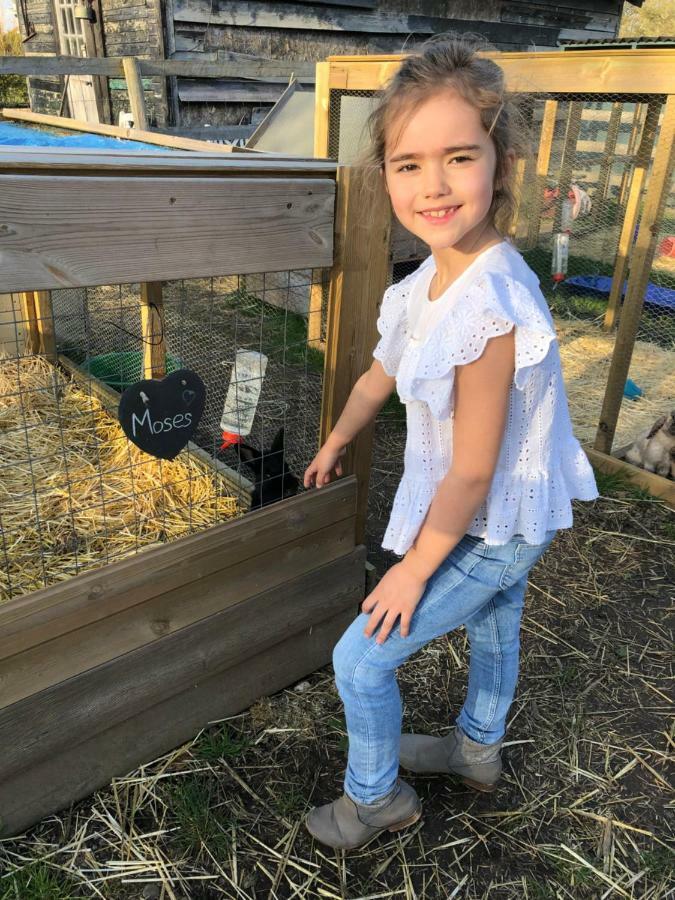 Willow Court Farm Studio South & Petting Farm, 8 Mins From Legoland & Windsor, 15 Mins From Lapland Uk Екстер'єр фото